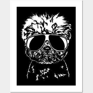 Bichon Frise sunglasses cool dog Posters and Art